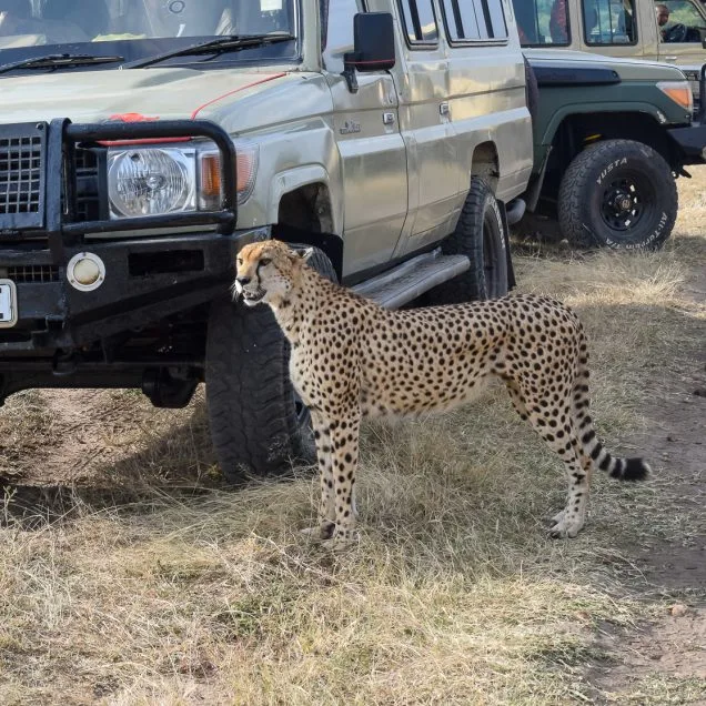 Meru National Park