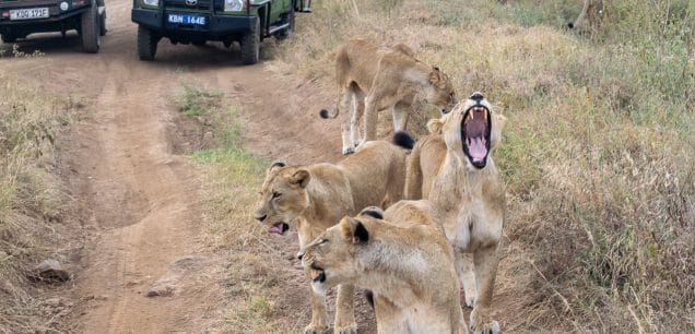 Nairobi National Park