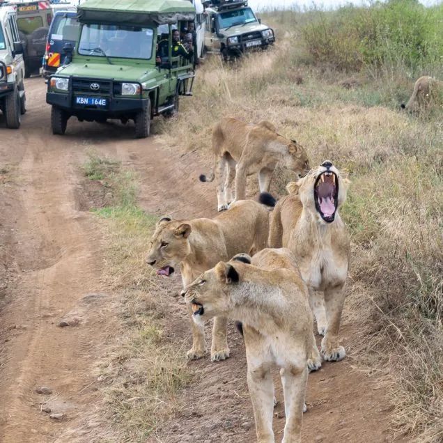 Nairobi National Park