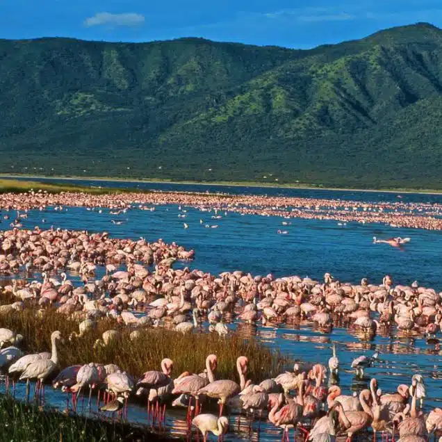 Lake Elementaita