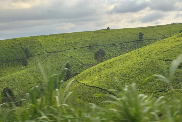 9-Day Best of Kenya: Lakes, Farming & Rift Valley