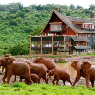 Nyeri