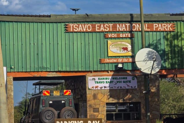 Amboseli & Tsavo parks 5-Day Safari: Kilimanjaro Views Tour