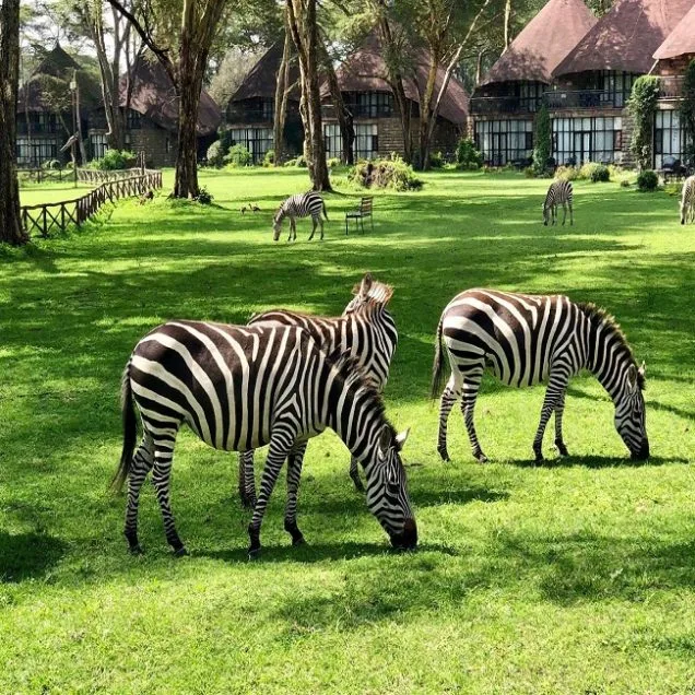 Naivasha