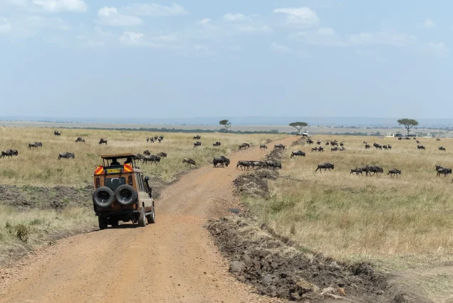 5-Day Maasai Mara, Nakuru & Naivasha Safari + Boat Ride