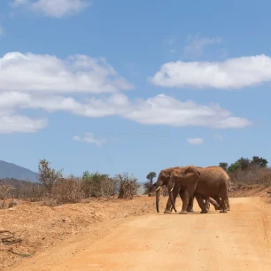 Tsavo National Park