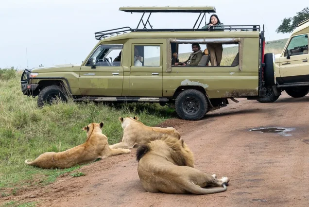3-Day Maasai Mara Safari: Big Five Kenya Adventure