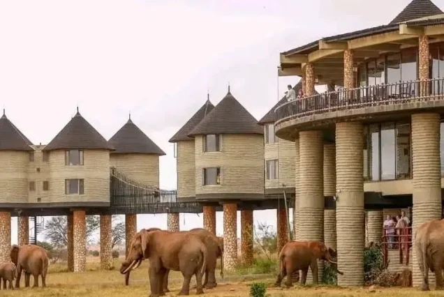 3 Day Salt Lick lodge & Tsavo West Private Safari from Nairobi