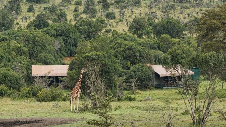 Porini Rhino Camp – Ol Pejeta