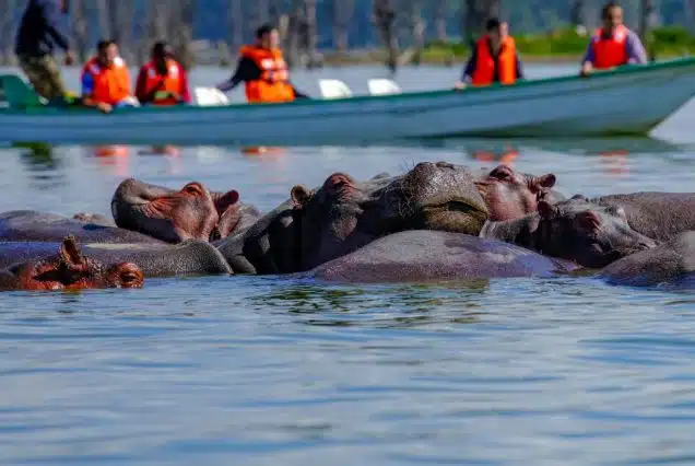 1-Day Lake Naivasha, Hell's Gate & Crescent Island Tour