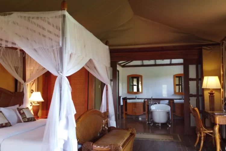 Kilima-Safari-Camp-Amboseli-32-1024x576