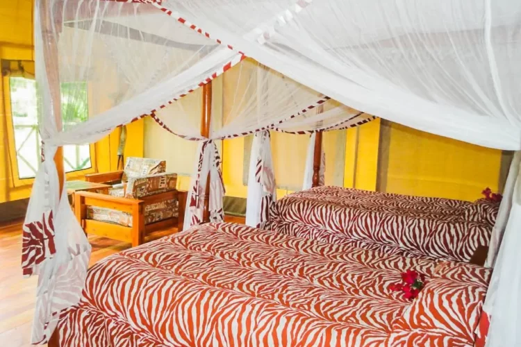 Lake-Naivasha-Crescent-Camp-16