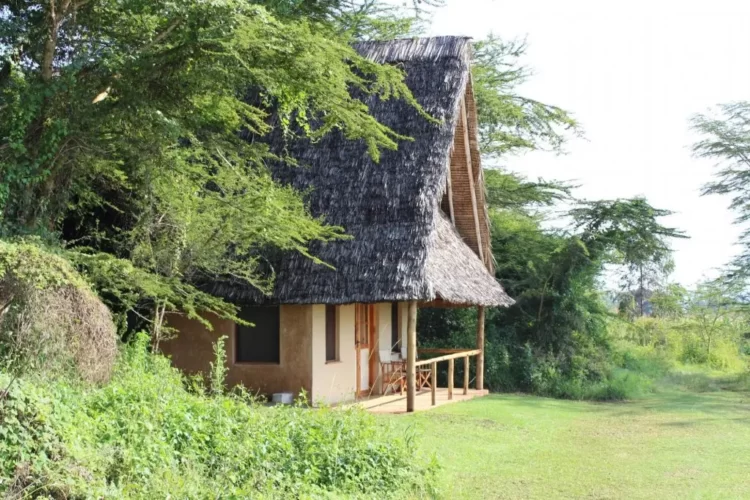 Ziwa-Bush-Lodge-Nakuru-12-1024x682