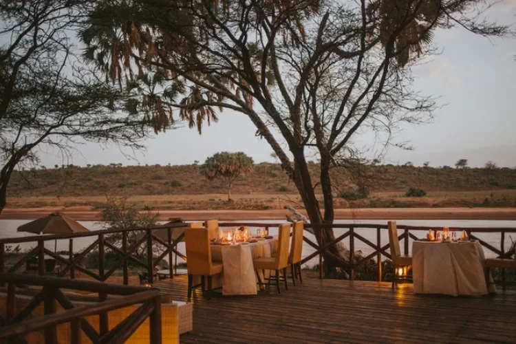 f6a606_553fc282a1f149c6bb01dc6ad31604e3_mv2