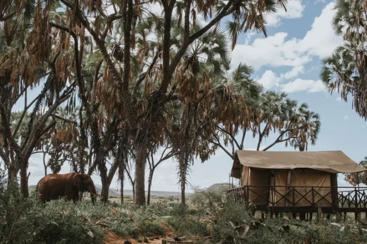 f6a606_56ff3b02a1b546b9a302be1b17f4cd65_mv2