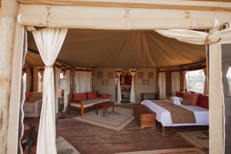 f6a606_c18038a40bb249599d890a3e8a577b7d_mv2