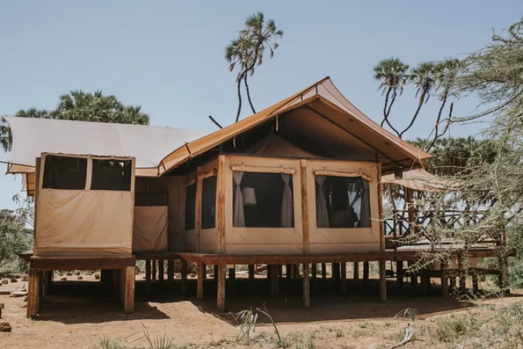 f6a606_cda7f3d28dd64a1d9d2e80b1b8ca8106_mv2