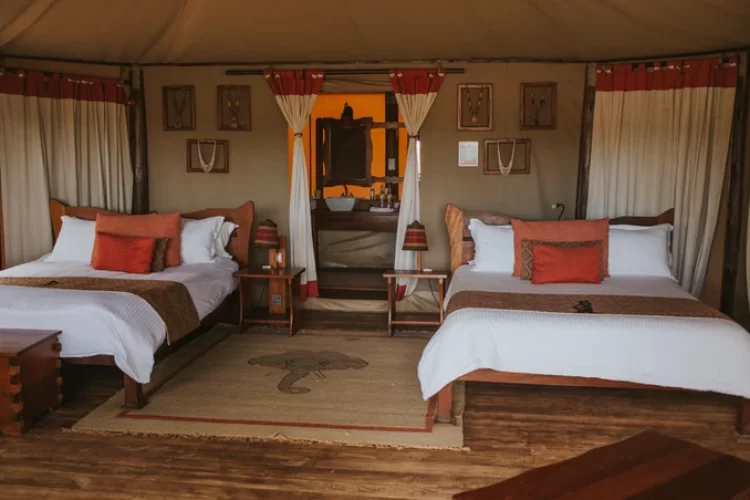 f6a606_ff5898ea95c34c08b779d6f07dc850f1_mv2